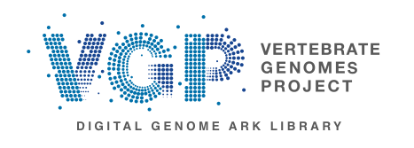 VGP Logo.