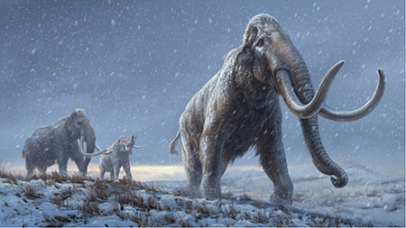 Oldest DNA sequences reveal how mammoths evolved